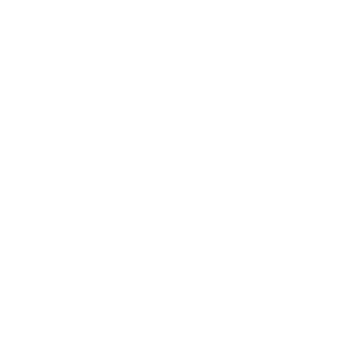 light logo